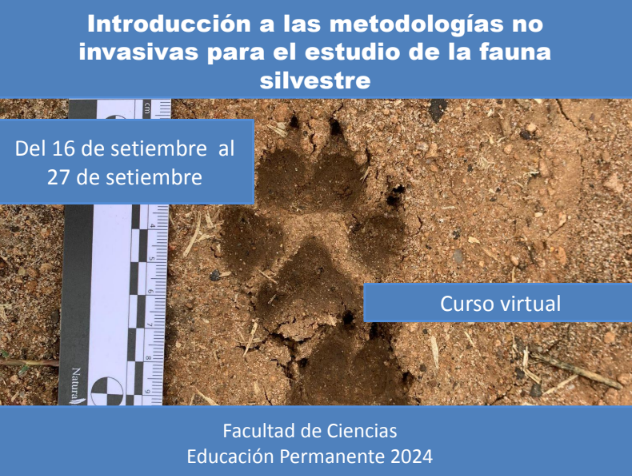 eduperfcien's tweet photo. Estimad@s,  Están abiertas las inscripciones para el curso  EP "Introducción a las metodologías no invasivas para el estudio de la fauna silvestre".  INSCRIPCIONES: https://t.co/0op32MVTkX………………… …hasta el 11 de setiembre. Matrícula: $1000  Adjuntamos más info. https://t.co/RLCqffJWic