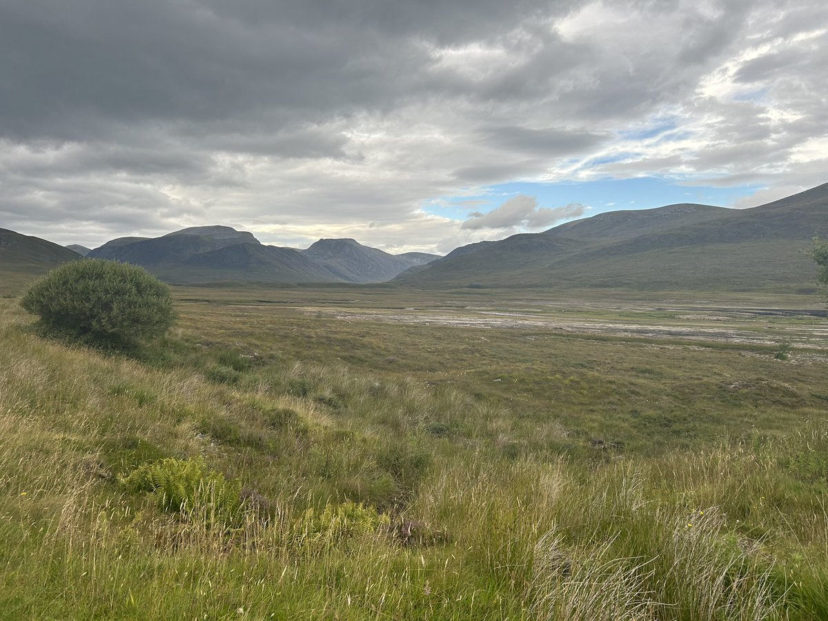 Some great opportunities for learning for our NQP’s during their CERAD course on the extended drive day to Ullapool. <a href="/SasDriver/">SAS Education - Driver Training</a> <a href="/SASEPDDWest/">SAS Education - West Region</a> <a href="/Scotambservice/">Scottish Ambulance</a> <a href="/VickyAHoE/">victoria burnham</a> <a href="/Maltz76/">Mark McIntee</a>