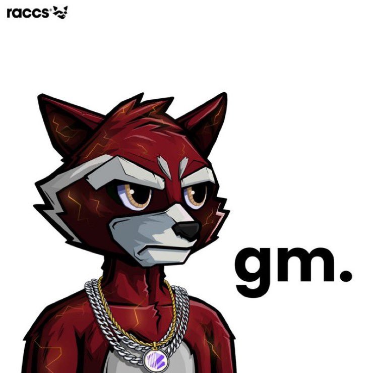 Gm my fellow degens, ☀️☕️

what're we pillaging today gang? 🦝