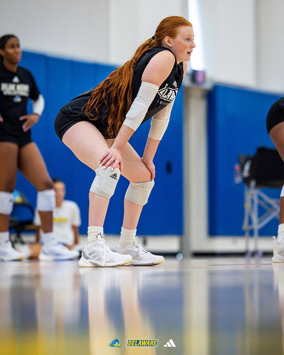 Delaware_VB's tweet photo. First week as Hens 🔵🟡 https://t.co/CizELFf6sU