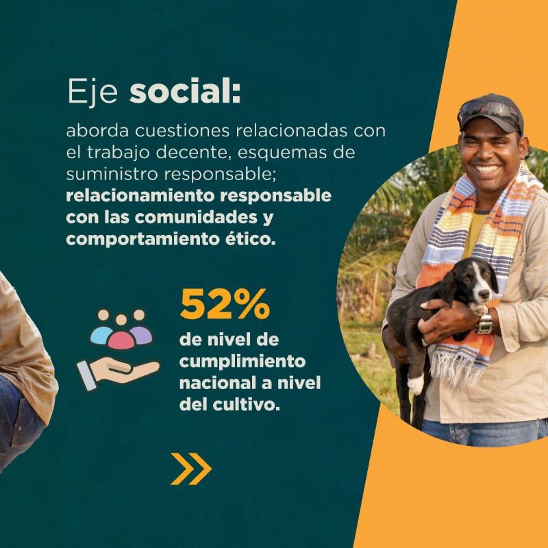 FedepalmaOrg's tweet photo. 🌴 Conoce sobre el índice de sostenibilidad del sector palmero colombiano en el reporte de sostenibilidad 2023 📊:  https://t.co/bpe4i2Fzu0 👀