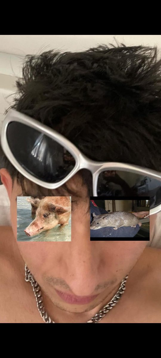 ImprotaSorelle's tweet photo. 🐽 💗 🐀 @sonounrapper https://t.co/K4YPC6HubM