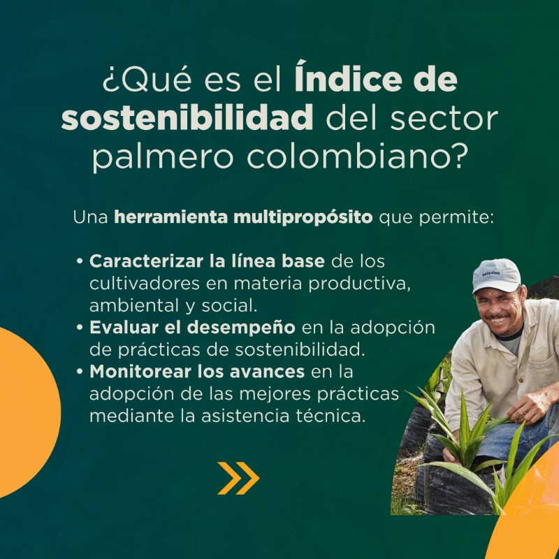 FedepalmaOrg's tweet photo. 🌴 Conoce sobre el índice de sostenibilidad del sector palmero colombiano en el reporte de sostenibilidad 2023 📊:  https://t.co/bpe4i2Fzu0 👀