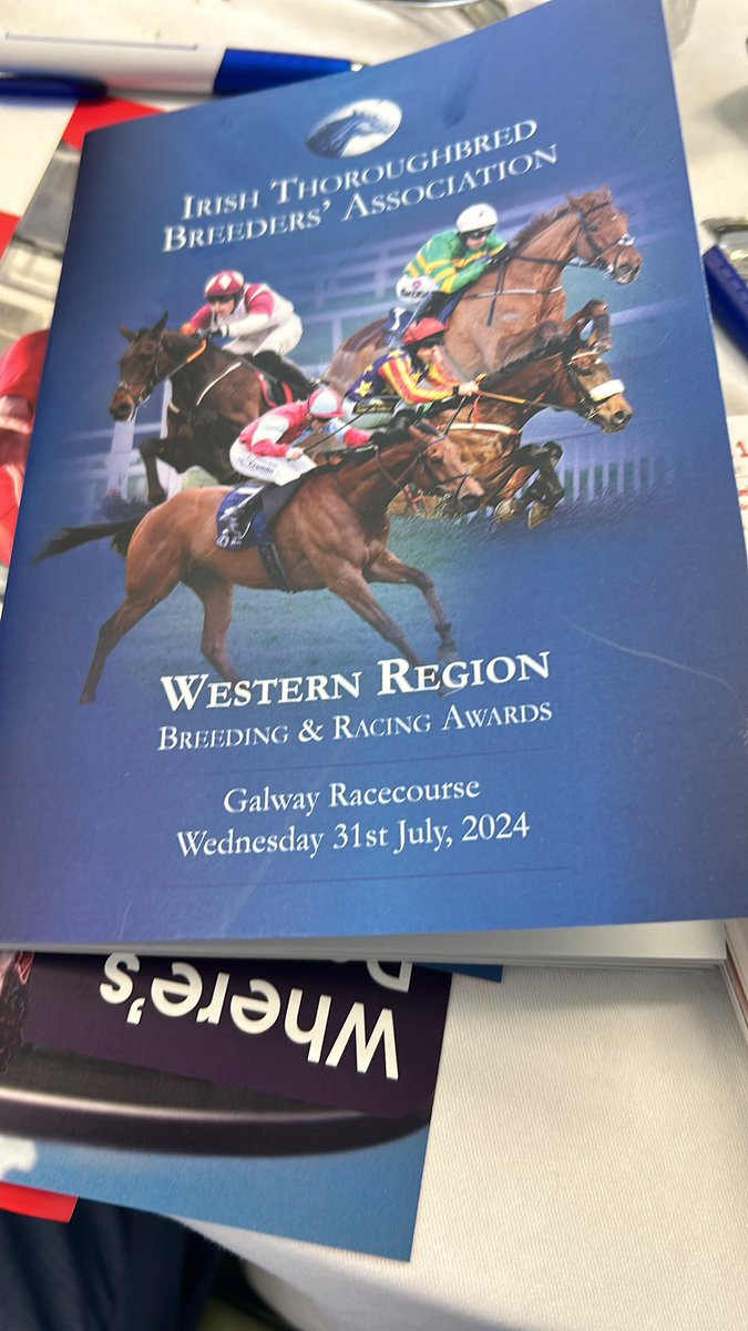 DillonKenny89's tweet photo. Fantastic Day Out at the Galway Races with ITBA @ITBA_Official @Galway_Races https://t.co/FqQH3RwTjp