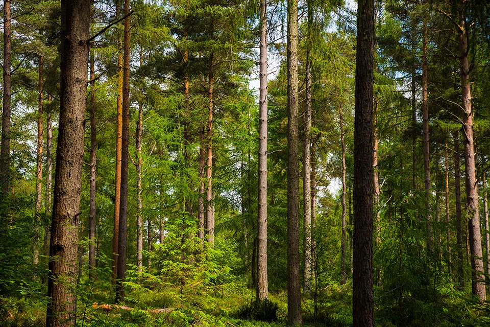 Timber, with its low embodied carbon, sequesters carbon for decades, making it a linchpin in achieving Net Zero and meeting future regulatory energy efficiency standards. Read more...

mitek.co.uk/2024/06/13/tim…