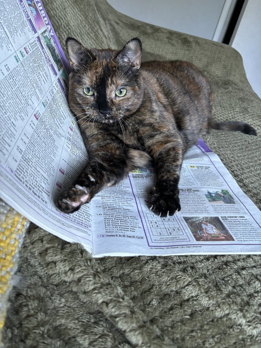 Susan Calman tweet media