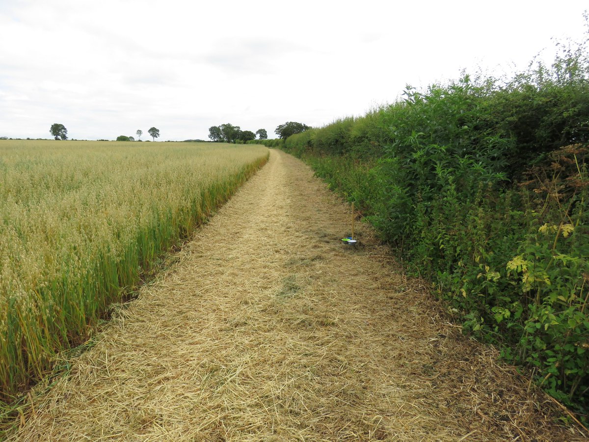 Anybody else noticing this? Seems to occur on farms in Enviro' Stewardship as much as those outside. Must be a severe limiting factor on pollinator abundance &amp; lifecycle completion yet I can't get recognition/discussion of the issue!