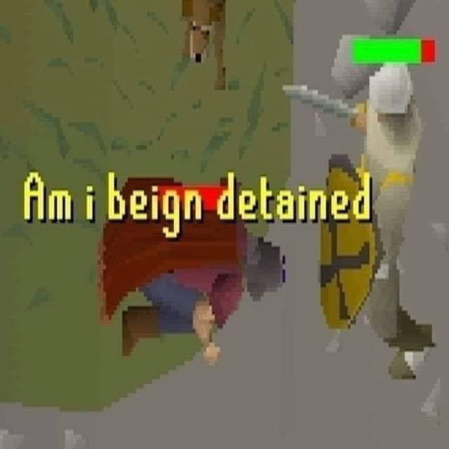 OSRS MEMES👑 (@osrsmemess) on Twitter photo 