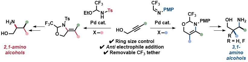 Tether chemistry alert: the work of Helena <a href="/helsoleav/">Helena Solé</a> , Mikus <a href="/pacans94/">Mikus P</a>  and Lucas on endo vs exo selective carboamination of propargylic alcohols is now accepted <a href="/angew_chem/">Angewandte Chemie</a> <a href="/EPFL_CHEM_Tweet/">EPFL Chemistry</a>  <a href="/NCCR_Catalysis/">NCCR Catalysis</a> 
onlinelibrary.wiley.com/doi/10.1002/an…