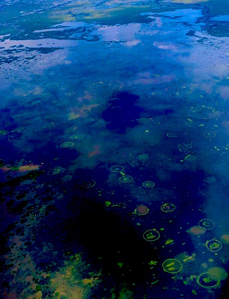 HARENDRA K SINGH, IPS tweet media