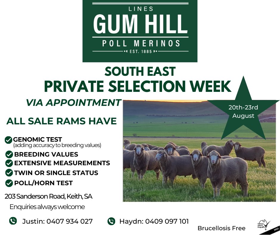 Next week at Keith, South East, S.A, we’re taking a truck load on rams down specially selected for South-East &amp; Western Vic farming systems &amp; environments, keen to catch up with clients,  if you’re interested in checking out our sheep give us a buzz. Quality Rams for all budgets
