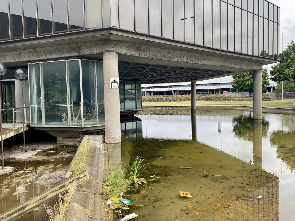 Sylvia Crowe’s reflections at the Scottish Widows site in Edinburgh. The garden is poorly maintained but many of the core design principles are still visible.