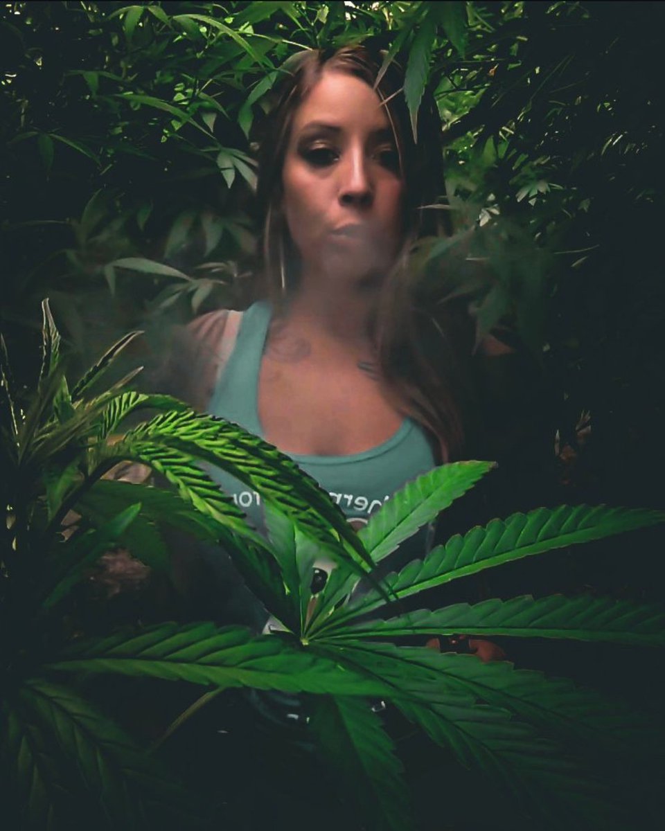 Charlene_paul18's tweet photo. Finally was able to get back into my account! Think I'll spam the feed tomorrow! If you're still here, thanks 💚
#WeedLovers #cannabis #cannabisculture #GIRLS #stoner #w33d #growing #plants #x https://t.co/Ug1E3fJUVw
