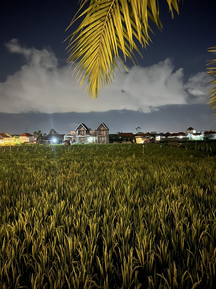 Tezuka (Prev. DevilK) tweet media