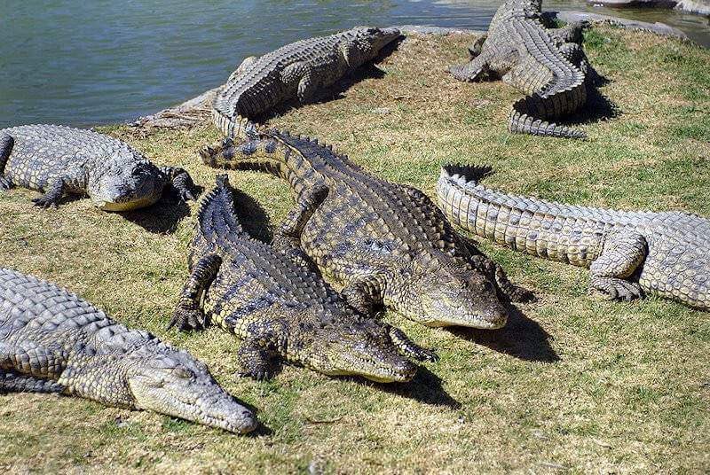 عبدالرحيم المعزي tweet media