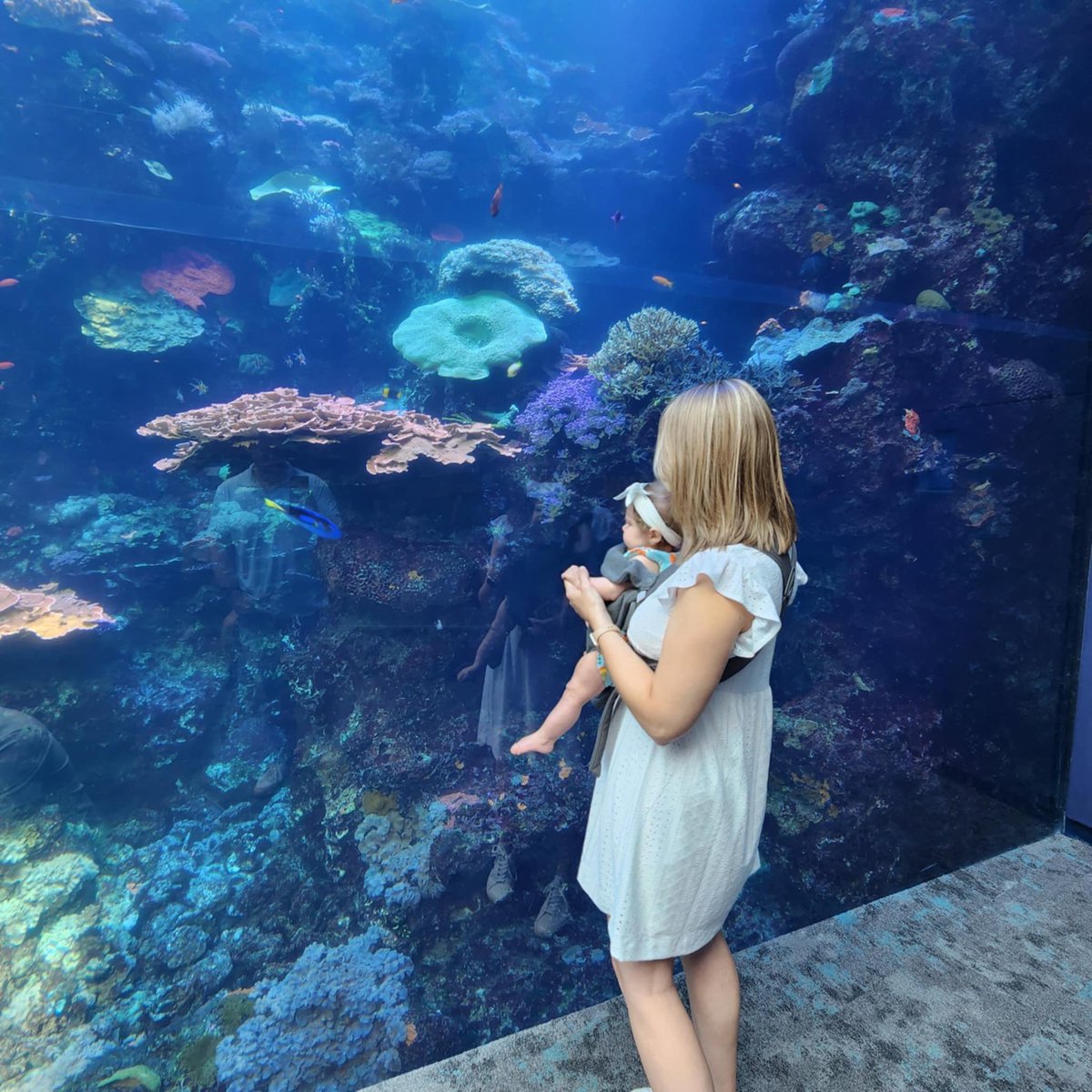 It’s been a while. Haven’t been on here since I started my new job: mom

I’m sad maternity leave is coming to an end so I won’t have as much time with my sweet girl, but I’m excited to rejoin the amazing <a href="/CobbInTech/">CobbInTech</a> team and get back into my schools!