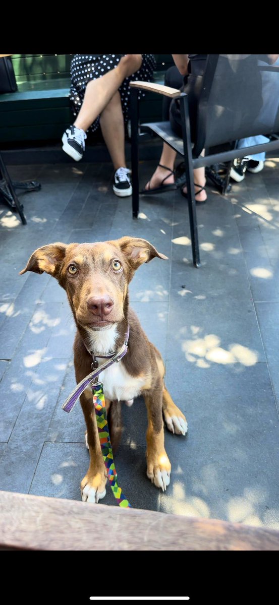 Neslihan tweet media