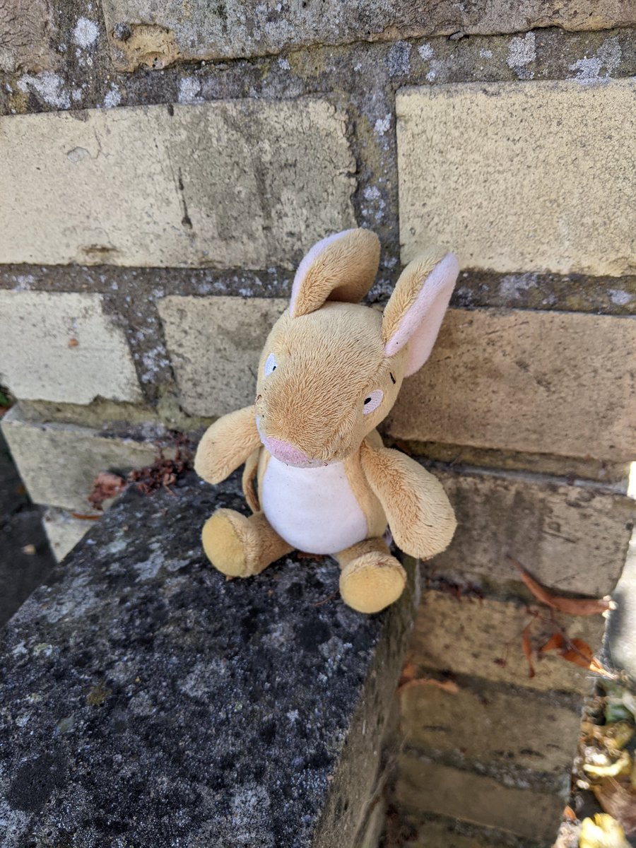 ⁦<a href="/SpottedInEly/">Spotted In Ely</a>⁩ This little chap was found in Deacons Lane last week. We put him on our wall but no one has reclaimed him. Does anyone recognise him?