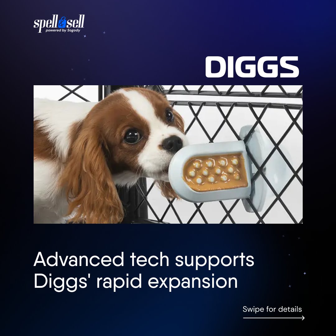 spellnsell's tweet photo. We're thrilled to share the key highlights of our collaboration with @DiggsPet, a leading pet product brand. Our team at Spell &amp; Sell dedicated their expertise to ensure Diggs' digital transformation was seamless and impactful. 

Here's a snapshot of our work together! https://t.co/tOuY8oZ35w