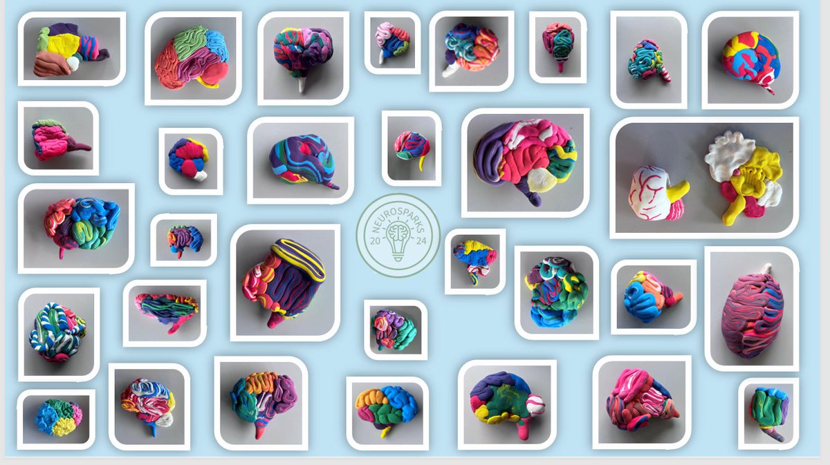 ARUKThamesV's tweet photo. Check out these amazing brains created out of modelling clay by Yr12 and 13 children at a 'Neurosparks' event @UniofReading teaching students about the brain and dementia. #youngscientists #makingsciencefun @ARUKscientist https://t.co/HWqnXggJ3u