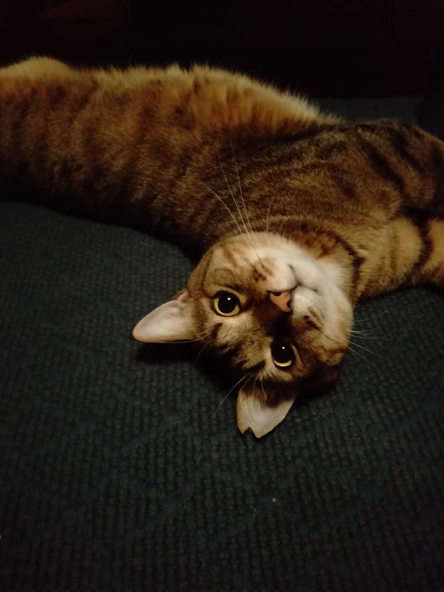 水道水 tweet media