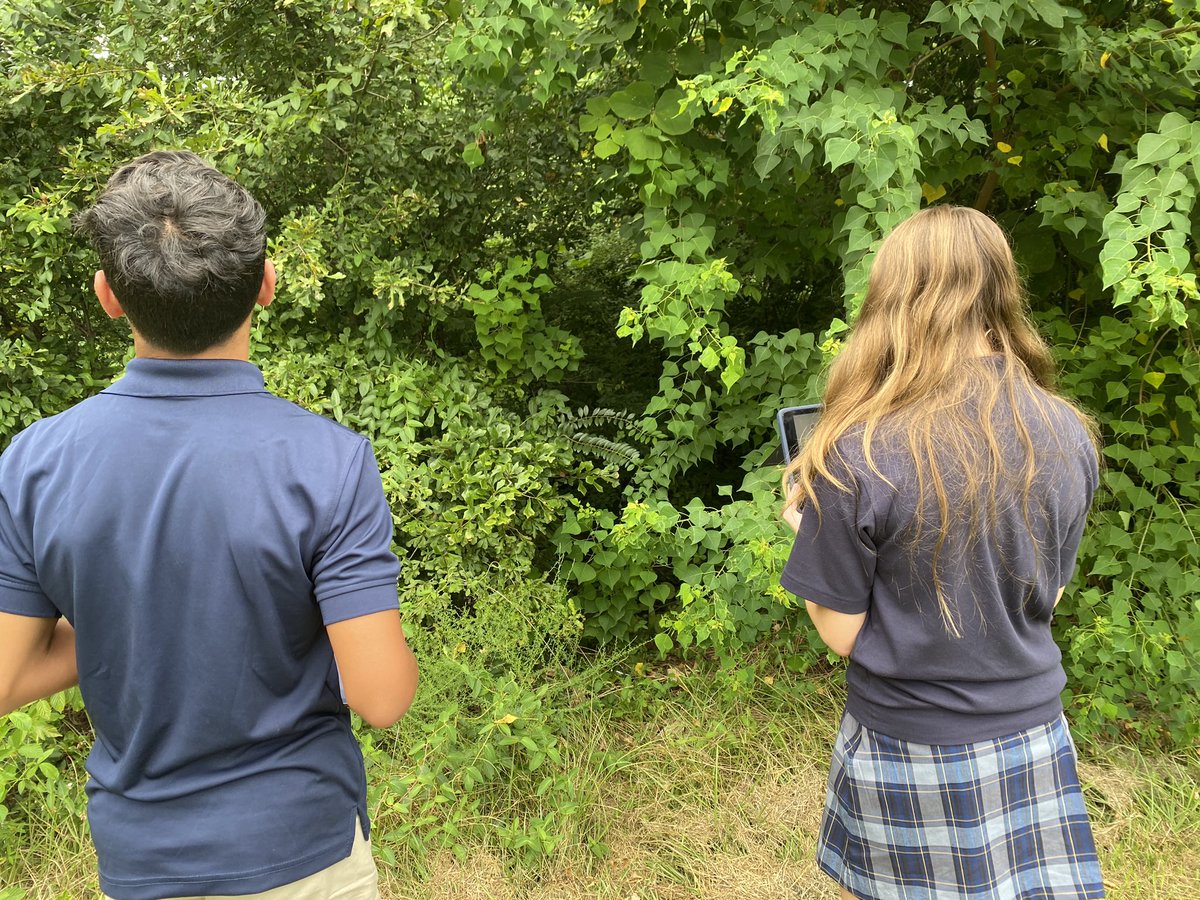 It’s been a great start to the school
Year! Students have been busy making historical timelines, using coordinates to track hurricanes, creating story maps, and identifying plants on campus. 💛💙