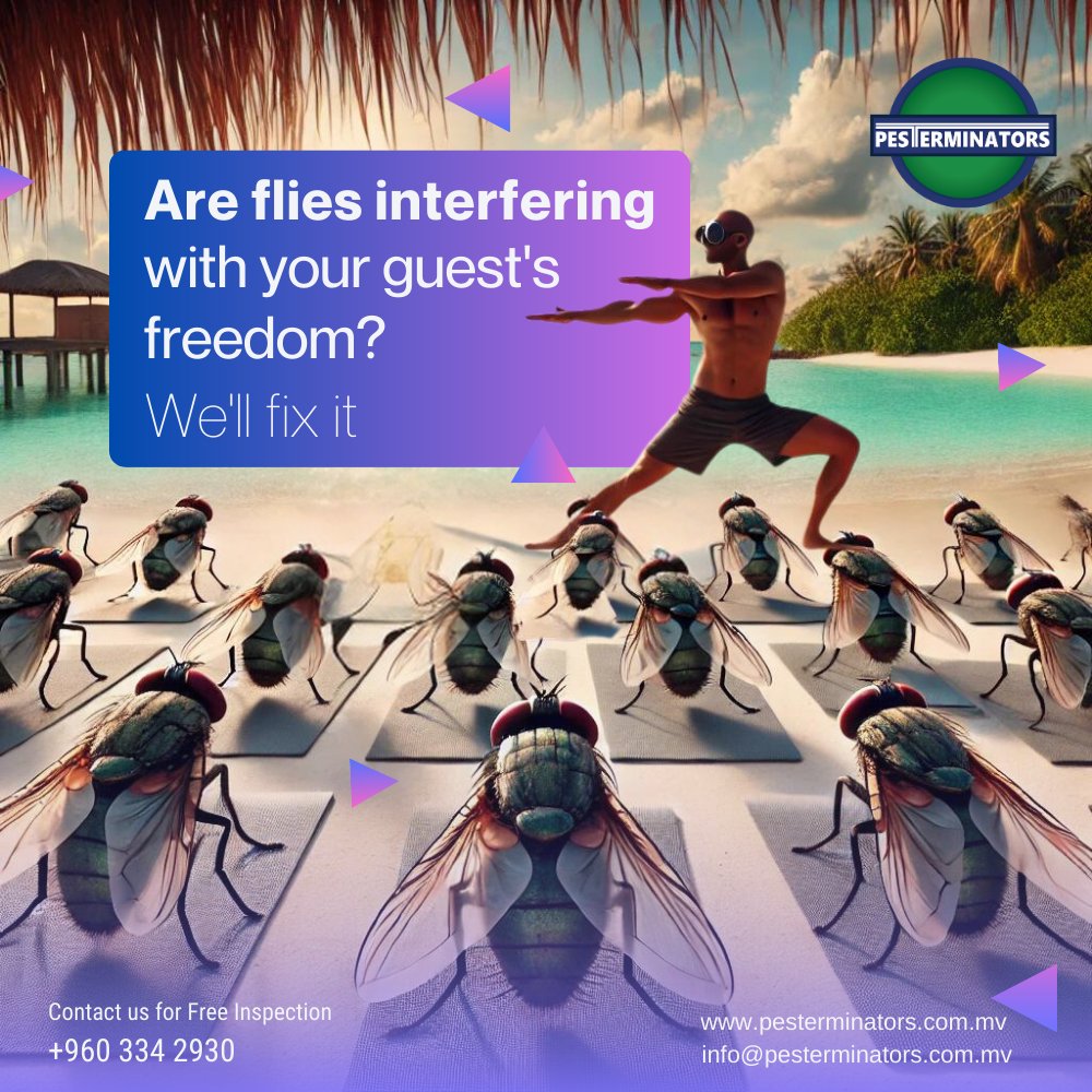 Pesterminators_'s tweet photo. Are flies interfering with your guest's freedom?  We'll fix it

Credit: Image from generative AI
#pesterminators #pestmanagement #pestcontrol #resorts #maldivesresort #resort #flies #pestcontrol #pestcontrolcompany #getridofflies #flyproblems #healthyplace #fyp #pestcontroldairy https://t.co/dwj6AIWB4p