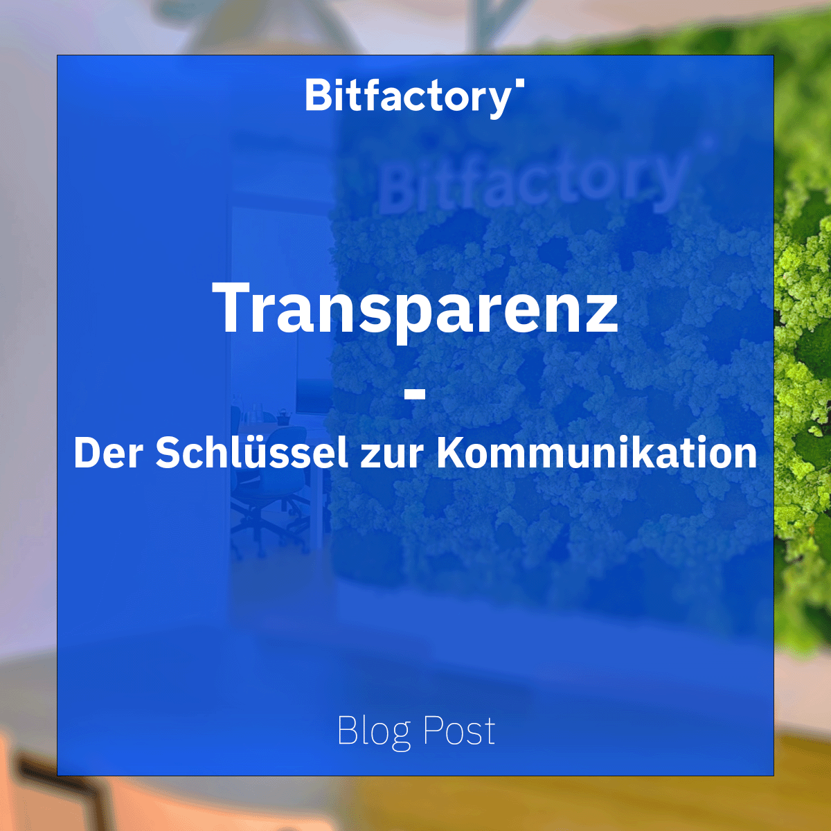bitfactoryio's tweet photo. Neuer Blogpost Live!
Warum transparente Kommunikation der Schlüssel zu unserem Kundenerfolg ist. 📢✨

🔗https://t.co/hDSTjVa30w

#Transparenz #Kommunikation #BusinessTips #Stuttgart #appdevelopment #AppEntwicklung https://t.co/ZHTjIgbb5P