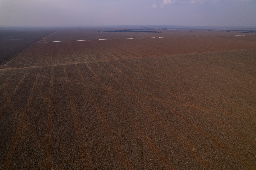 ocamargosdaniel's tweet photo. Reportagem minha na @reporterb mostra como opera o lobby do agro em um assentamento "privatizado" pela soja. O que era para ser uma área de produção familiar, com lavouras diversificadas, converteu-se em um deserto de gente: não há trabalhadores, só plantações de soja 👇 https://t.co/UEA6Fzw45k