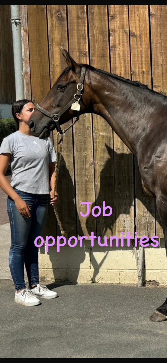 Yeo Barton Bloodstock (@barton_yeo) on Twitter photo We are looking for full and part time members to join our happy and successful team based in Devon.
The role includes day to day care of mares, foals and younstock.
For further information please contact Sarah on 07711 171233
<a href="/careersinracing/">careersinracing.com</a> <a href="/TheTBA_GB/">The Thoroughbred Breeders’ Association (The TBA)</a> @EquineCareers We are looking for full and part time members to join our happy and successful team based in Devon.
The role includes day to day care of mares, foals and younstock.
For further information please contact Sarah on 07711 171233
<a href="/careersinracing/">careersinracing.com</a> <a href="/TheTBA_GB/">The Thoroughbred Breeders’ Association (The TBA)</a> @EquineCareers