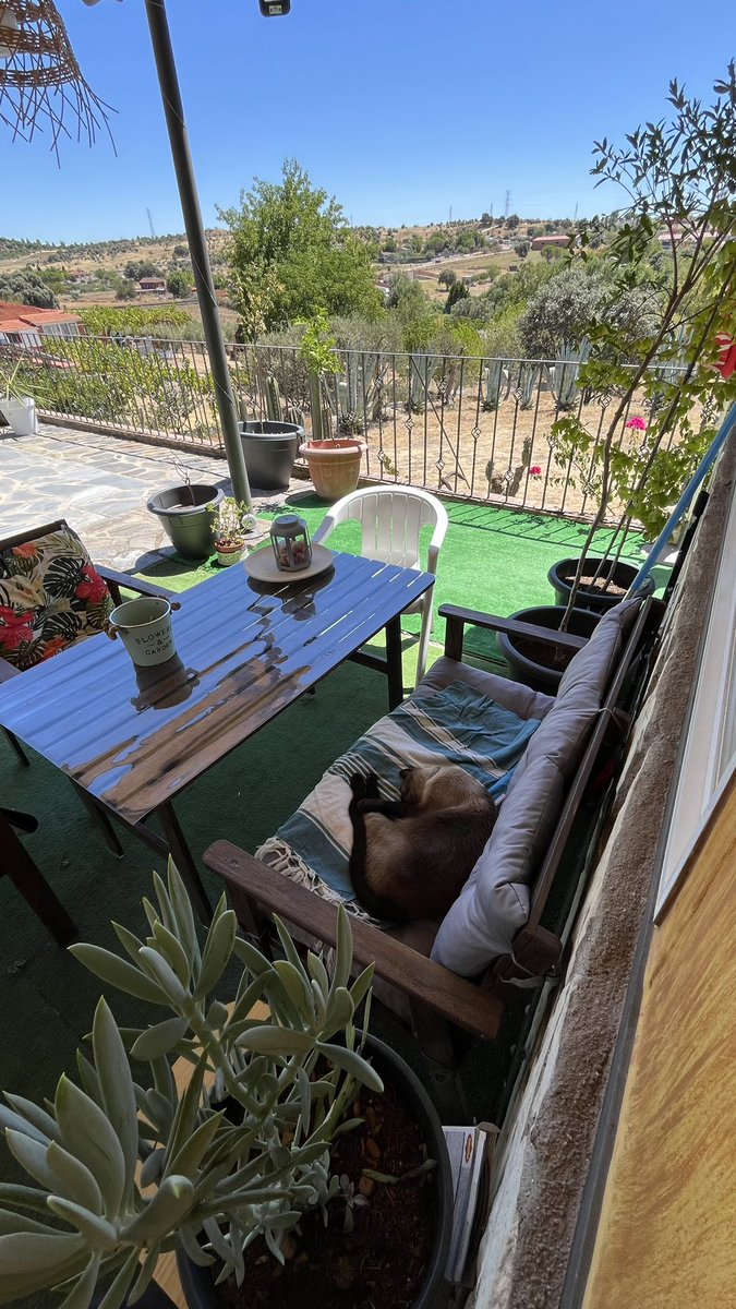 Álvaro Garcia Loaisa 🏴‍☠️ tweet media