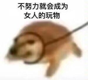 我不想努力了
Day6️⃣7️⃣