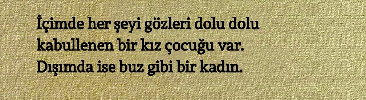 sᴇɴsɪᴢ ʜᴀᴛıʀᴀ (@sensizhatiram) on Twitter photo 