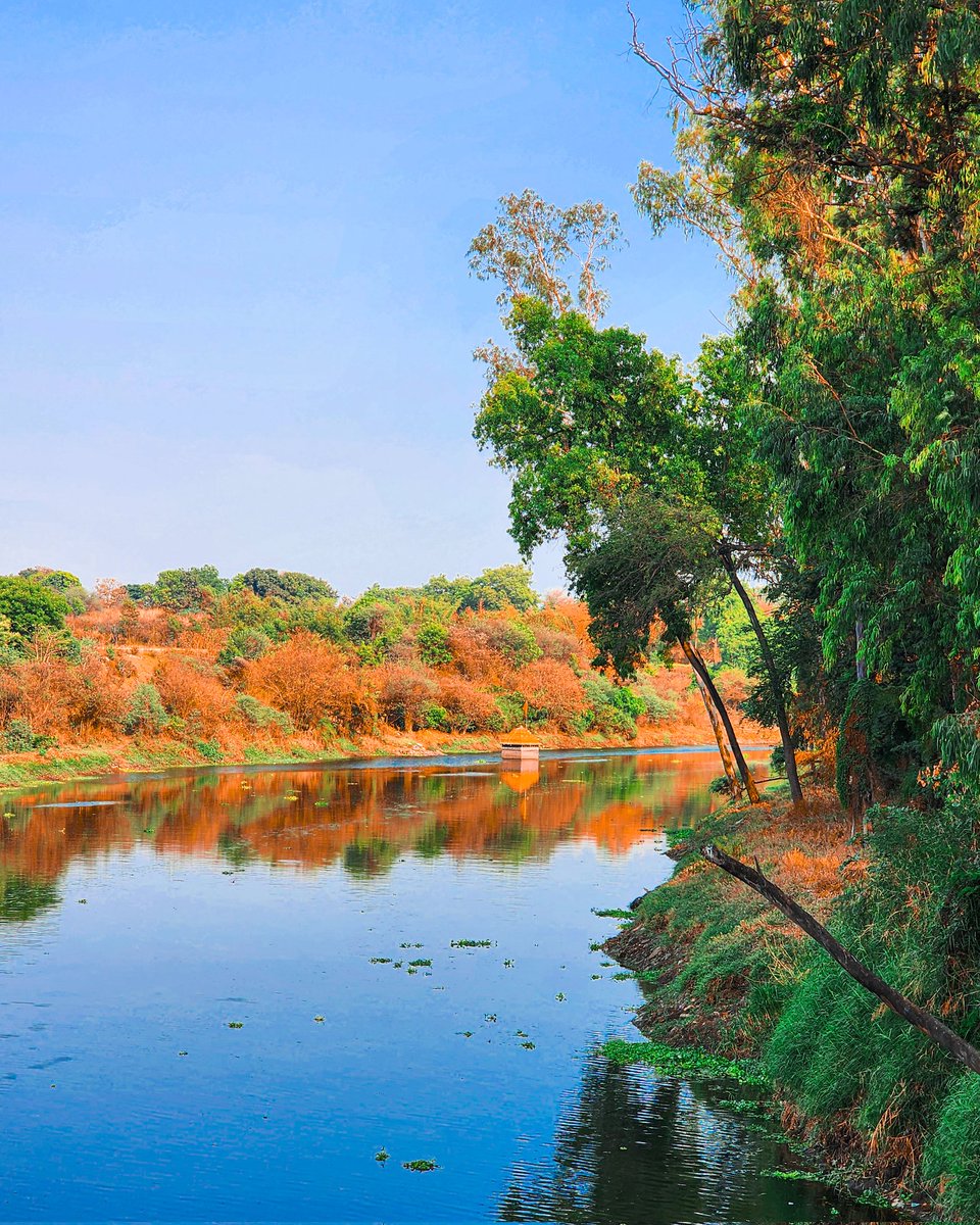 Colours of Nature. Colours of India. Happy Independence Day #IndiaIndependenceDay 78