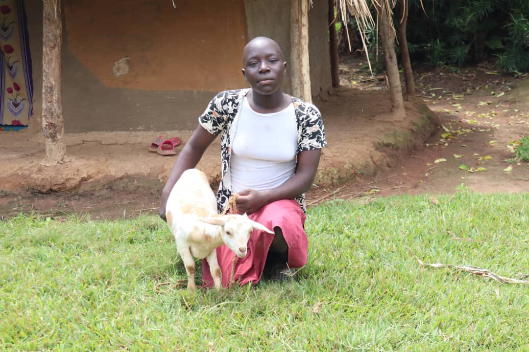 orgwagrau's tweet photo. A goat for girls Secondary Education 

#girlchild #girlchildeducation #endchildmarriage https://t.co/i7tJR5Ou6F
