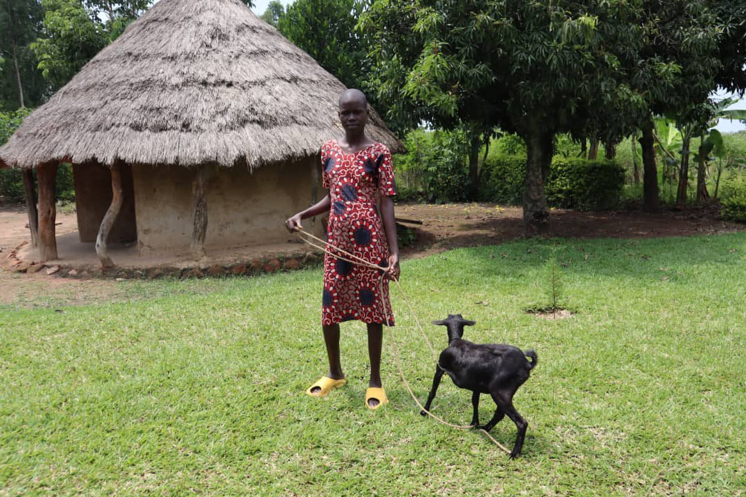 orgwagrau's tweet photo. A goat for girls Secondary Education 

#girlchild #girlchildeducation #endchildmarriage https://t.co/i7tJR5Ou6F