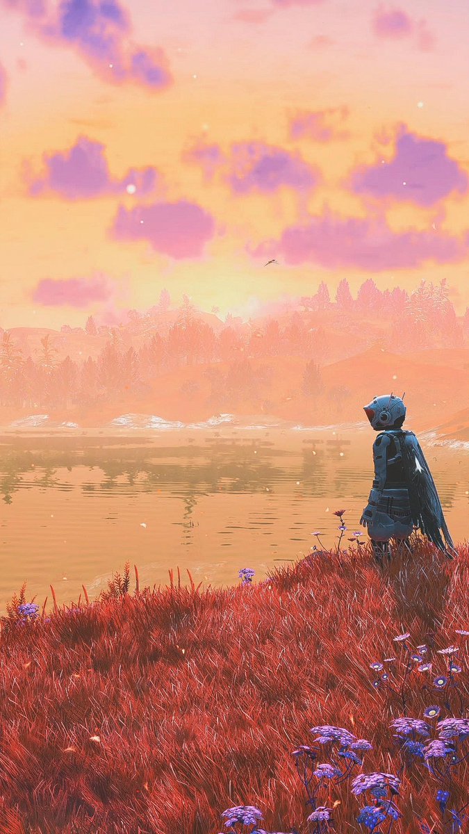 #NoMansSky #ノーマンズスカイ
この星嵐も無くてめっちゃ綺麗‼︎