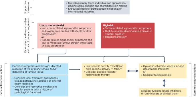 New content online: International consensus statement on the diagnosis and management of phaeochromocytoma and paraganglioma in children and adolescents dlvr.it/TBy698