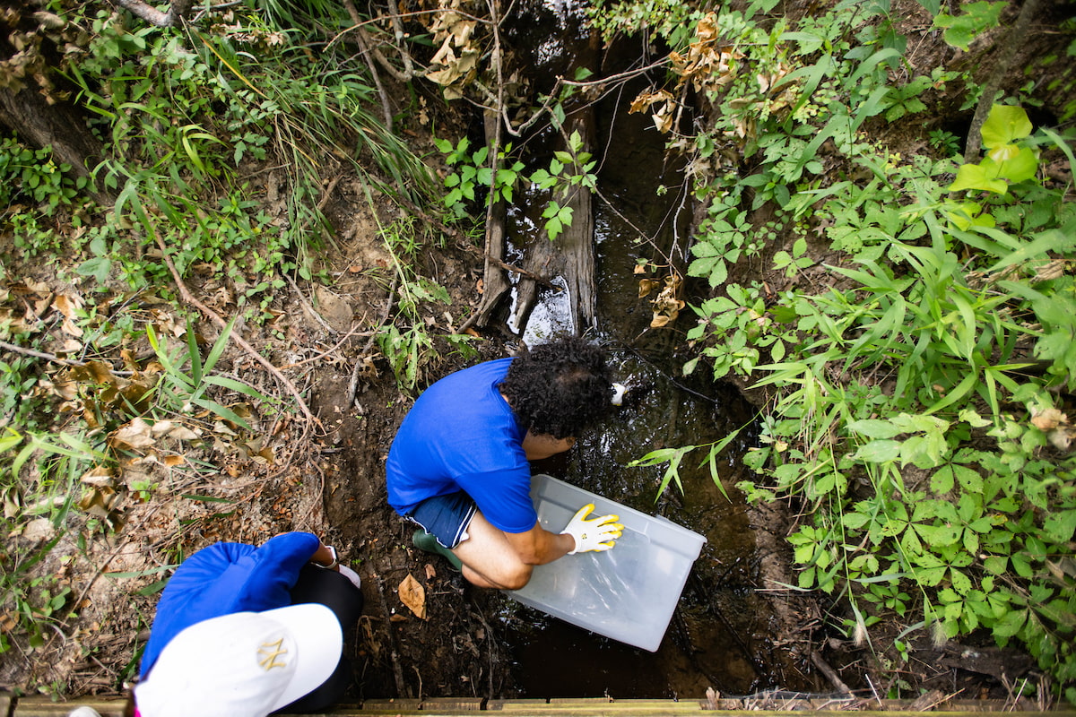 UNT News (@untnews) on Twitter photo This summer, ten Dallas high school students learned where their water comes from thanks to the <a href="/DallasEEI/">City of Dallas EEI</a> paid internship, a partnership program between <a href="/UNTScience/">UNT College of Science</a> and <a href="/CityOfDallas/">City of Dallas</a>. Read more: bit.ly/4dmpYr6 This summer, ten Dallas high school students learned where their water comes from thanks to the <a href="/DallasEEI/">City of Dallas EEI</a> paid internship, a partnership program between <a href="/UNTScience/">UNT College of Science</a> and <a href="/CityOfDallas/">City of Dallas</a>. Read more: bit.ly/4dmpYr6
