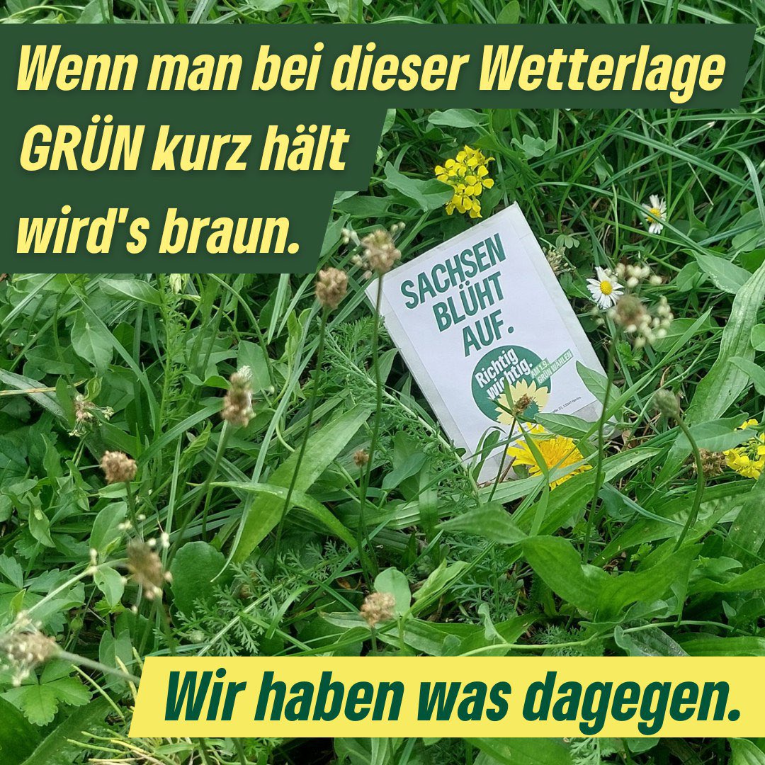 Nie war Vielfalt wichtiger als heute - in der Natur UND in der Politik.

Sachsen blüht auf. Aber nur mit mehr GRÜN.

Und das ist #richtigwichtig

#cdu #rasenmähen #DieGrünen