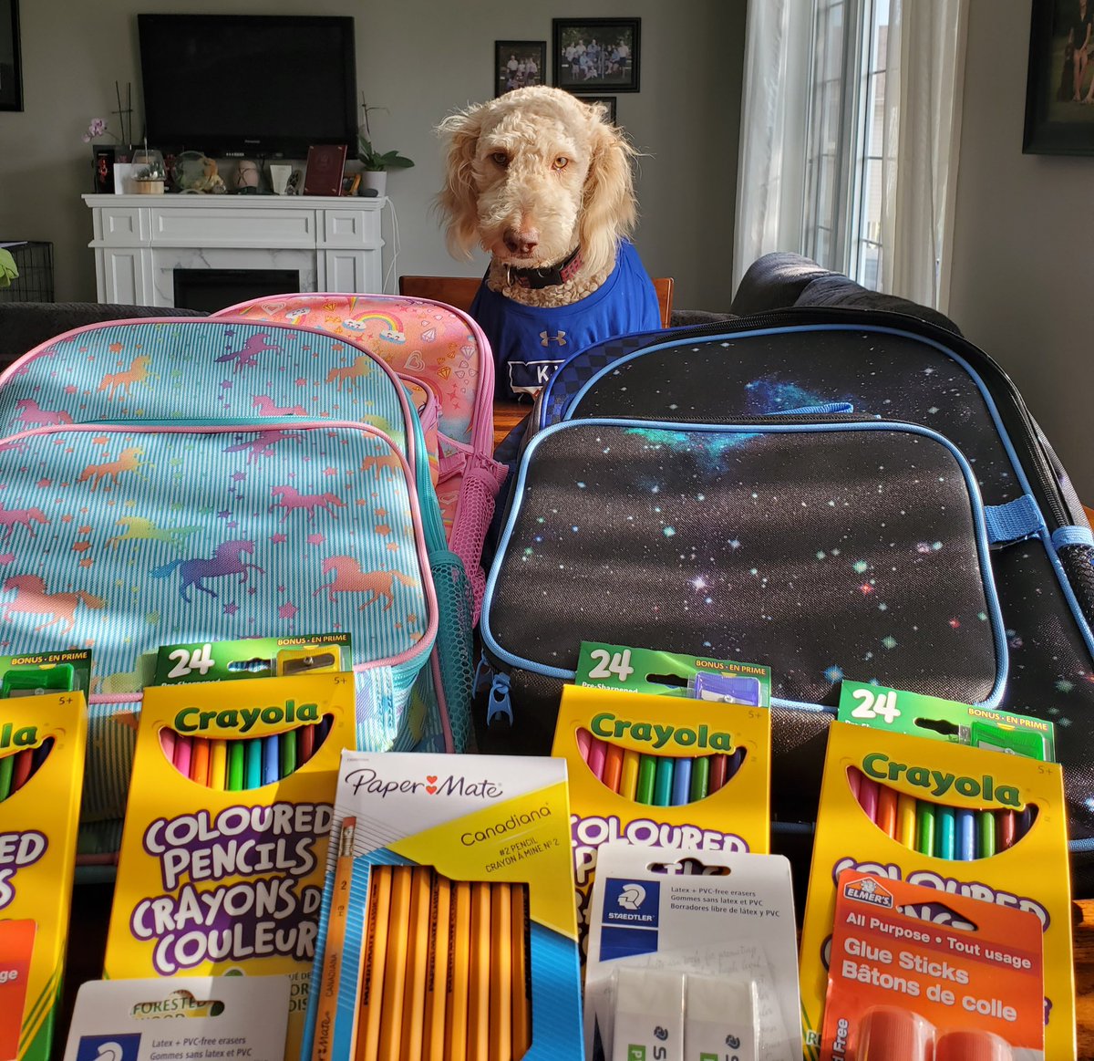 Waterloo Ravens U22 Elite tweet media