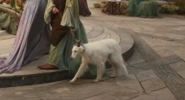 SilmarilLeanne/Celestial Wanderer tweet media