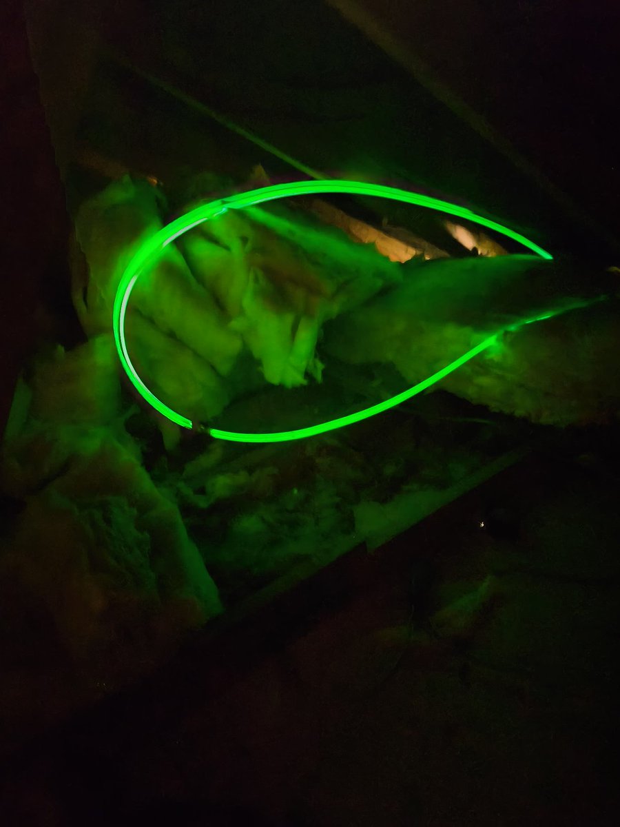 Lee Ward tweet media