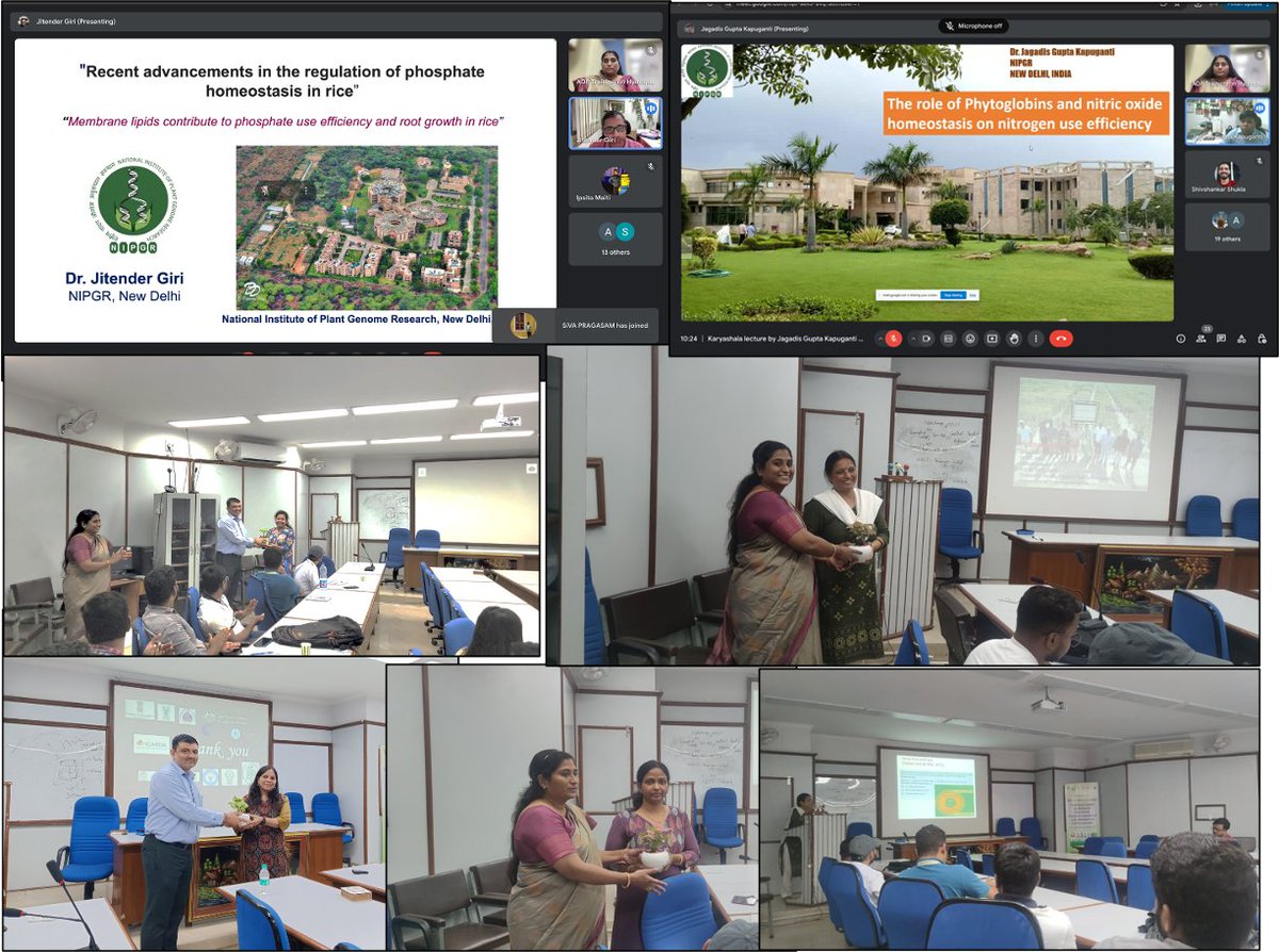 #day9
<a href="/serbonline/">SERB</a>

#Karyashala on NUE and stress tolerance  had wonderful sessions by
<a href="/JGiriLab/">Jitender Giri</a> <a href="/DrJagadisNIPGR/">Dr. Jagadis Gupta Kapuganti</a> 
<a href="/Jyoti_PGR/">Jyoti</a>   
Dr Nimmy MS <a href="/ICAR_NIPB/">ICAR-National Institute for Plant Biotechnology</a> 
 <a href="/RuchiBa22876966/">Ruchi Bansal</a> <a href="/MadhurimaIari/">Madhurima Das</a> and
<a href="/lekshmysnair/">Lekshmy Sathee</a>