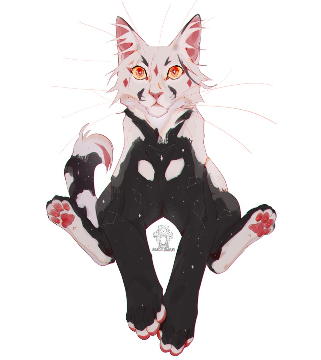 blackscour 🐯 tiger enthusiast tweet media