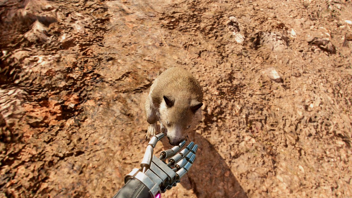 13brevkasse's tweet photo. #Hutia #FarCry6 #VPRT #Robotic #VGPNetwork #Captive #PlayStationTrophy #Hest #GamingPC #Spraypaint #Castillo #PS4Share #Countryside #ThePhotoMode #FarCry #XboxOne #Lazy #Horse #Yaran #CostaDelMar https://t.co/mP63lA9euJ