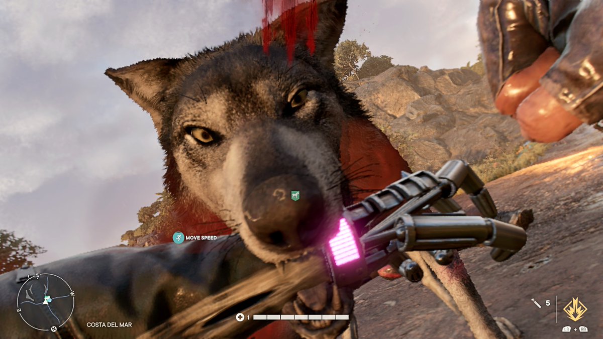 13brevkasse's tweet photo. #Hutia #FarCry6 #VPRT #Robotic #VGPNetwork #Captive #PlayStationTrophy #Hest #GamingPC #Spraypaint #Castillo #PS4Share #Countryside #ThePhotoMode #FarCry #XboxOne #Lazy #Horse #Yaran #CostaDelMar https://t.co/mP63lA9euJ