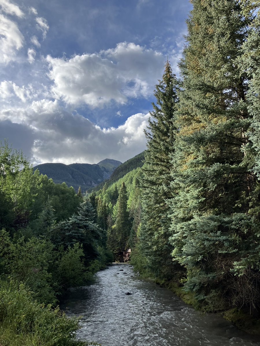 Jin Research Group tweet media