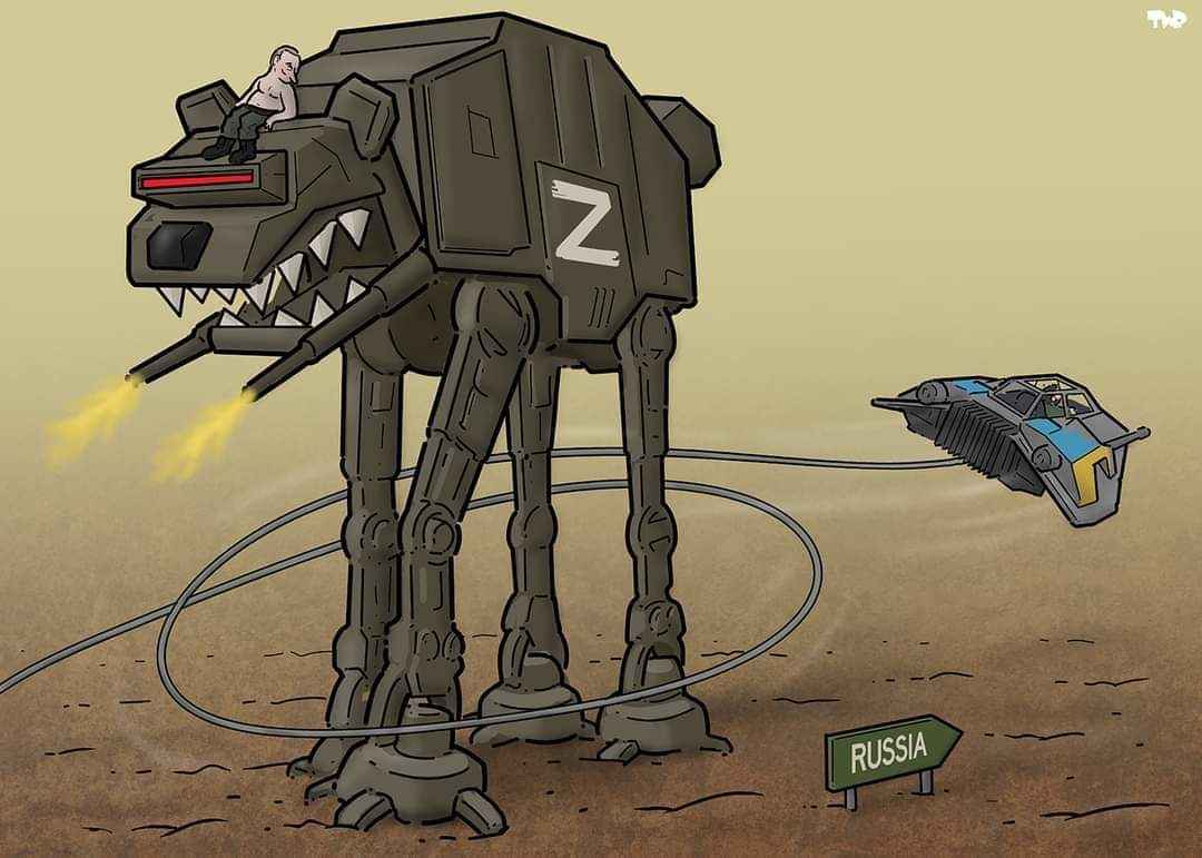 AnIceBear2024's tweet image. 