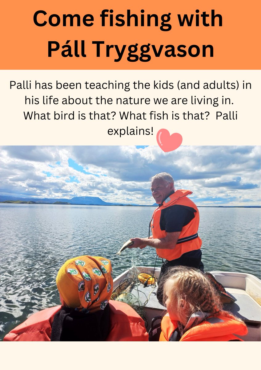 IceFish Research tweet media